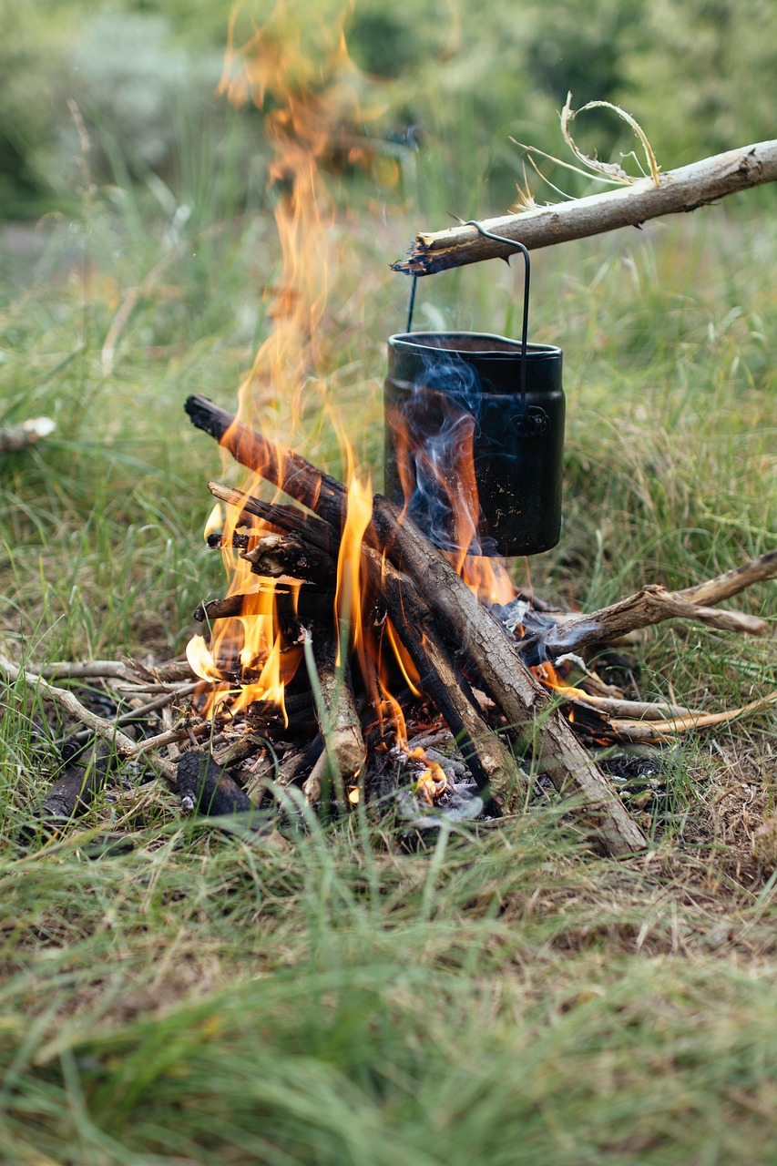 blur, close-up, cooking, daylight, field, fire, firewood, flame, focus, food, garden, nature, grass, hayfield, outdoors, pot, smoke, wood, woods, green fire, green wood, green cooking, green smoke, green focus