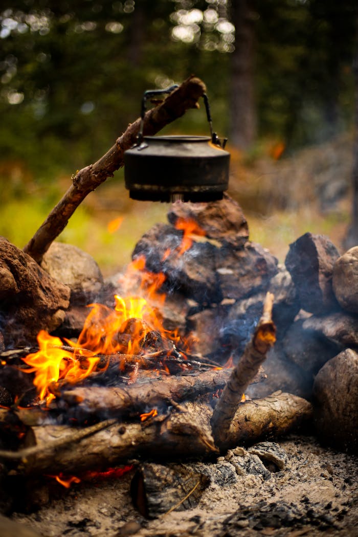 A kettle hangs over a campfire with burning wood and smoke in a forest setting.